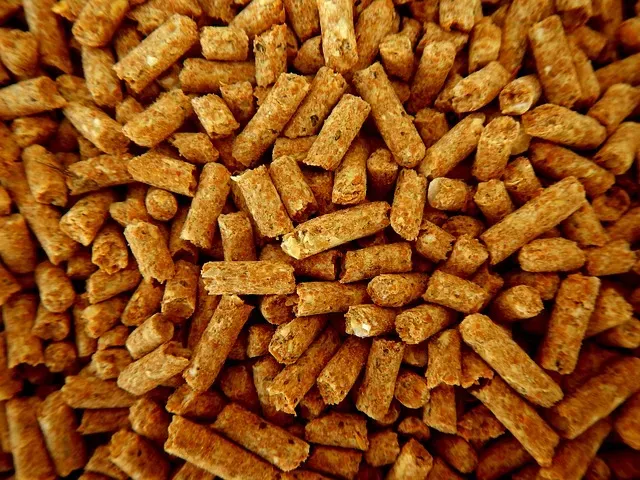 Piec CO na pellet – co warto wiedzieć przed zakupem?